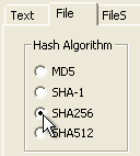 hash_005r.png